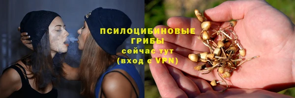стаф Алексин