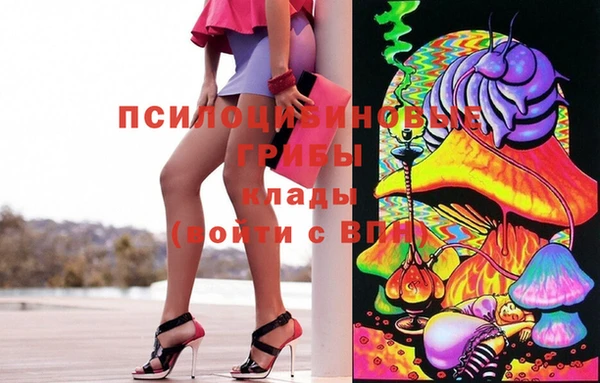 стаф Алексин