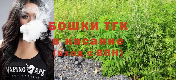 стаф Алексин