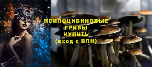 ALPHA PVP Алексеевка