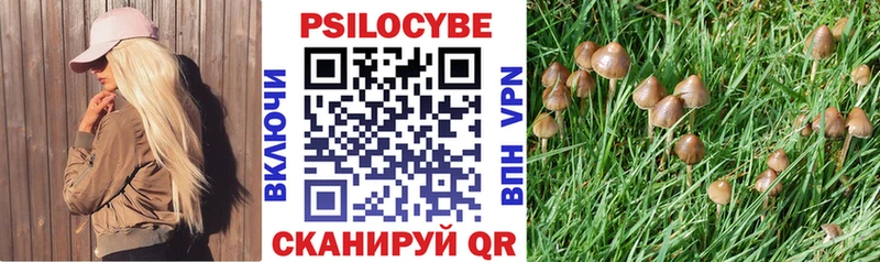 Псилоцибиновые грибы GOLDEN TEACHER  kraken маркетплейс  Арск 